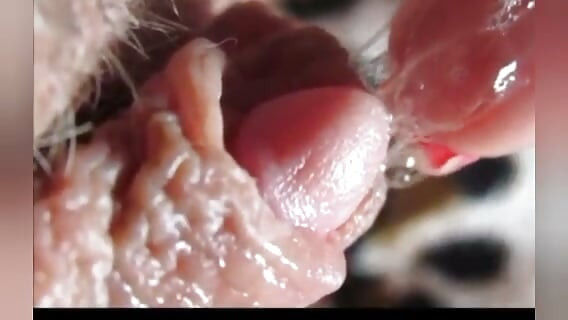 HUUUUUUGE WET CLIT FOR DADDY compilation