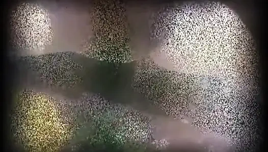 Memek montok hitam seksi menjilati kontol hitam besar mengisap ... Crot di mulut