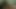 Cam-Show-Spaß mit zwei MILFs und einem BBC