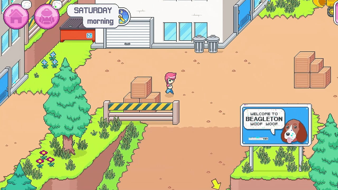 Dandy Boy Adventures - Hairy Pussy