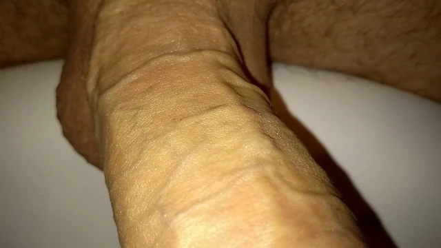 Introducing my veiny cock