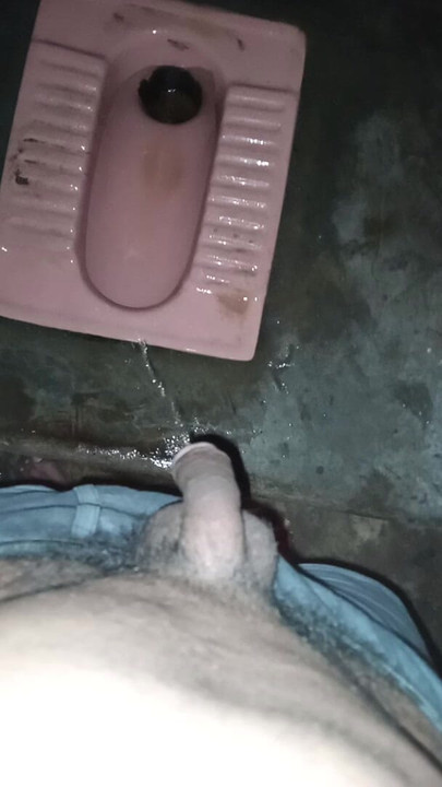 Sex in toilet