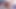 BBW Miss Pink Plush žudi i osvaja ogroman crni u eksplozivnom dvostrukom filmu