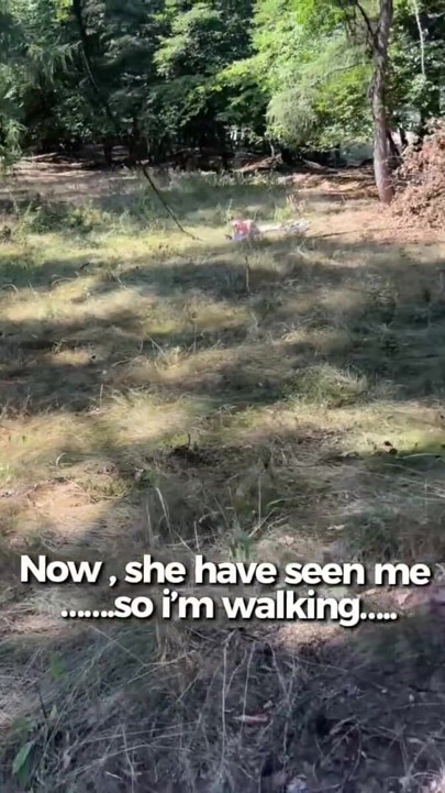 Flash de corrida para una chica bronceándose al sol | Clip 1