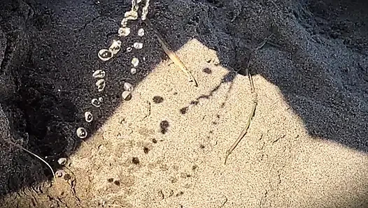 Ehefrau pisst im freien