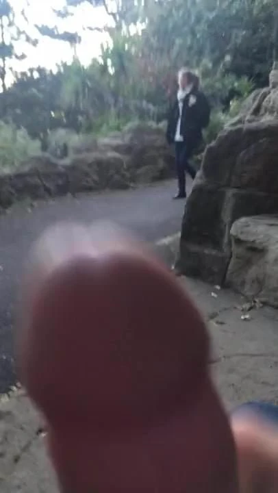 Wanking in public