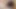 Anonymous Indian Bred Preview - Full Video on OF (dabratmc)
