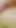 Epic moment from "SLIM HORNY MATURE HAS ROUGH BAREBACK SEX WITH YOUNG GUY"