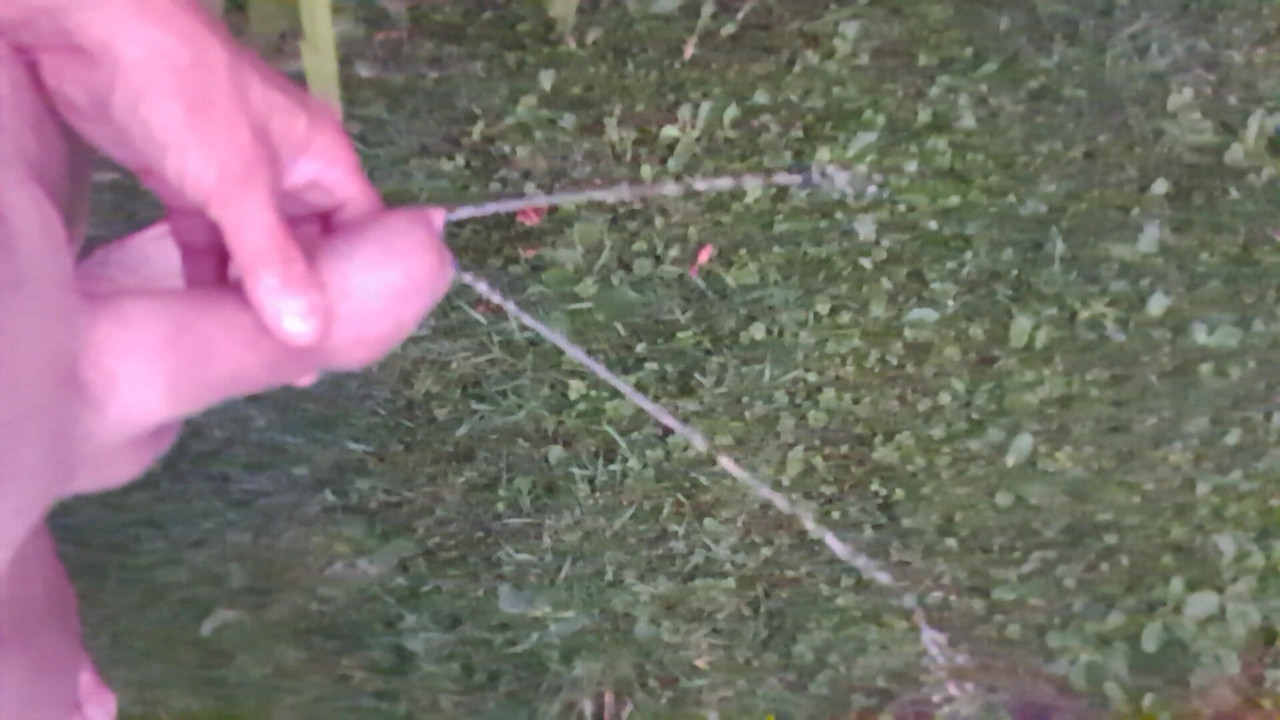 Pissing i haven
