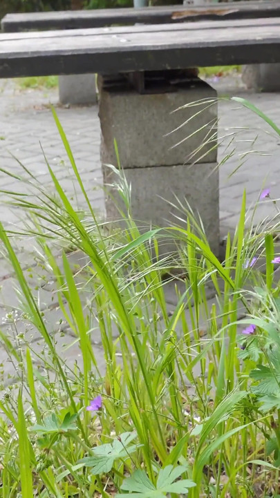 完璧な待ち伏せが完璧なキャッチをもたらす