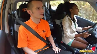Fake Driving School