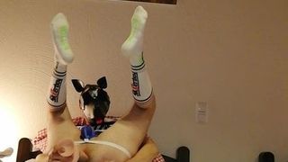 Pupply sokken-bottomboy snoof en speelde diep met zijn grote dildo
