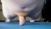 Pregled videozapisa