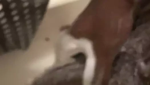 İşten önce duşta kendi kendine zevk