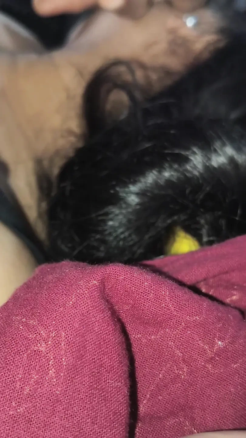 我的妻子非常热辣