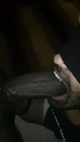 Suck my cock
