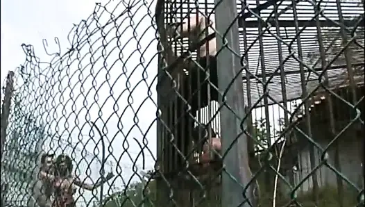 Tante seksi dengan memek berbulu lagi ngidam dientot sama kontol besar di taman umum