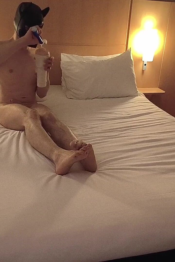 Naughty Puppy Can't Resist His Favorite Toy!