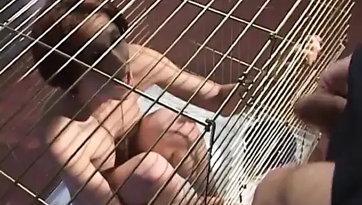 Pelacur penurut nyepong kontol polisi saat di kandang