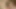 This wild JAV has a super-hot creampie session with a wooly Asian coochie, and a hunk arching her over the bed.