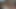 彼女に精液を与えた