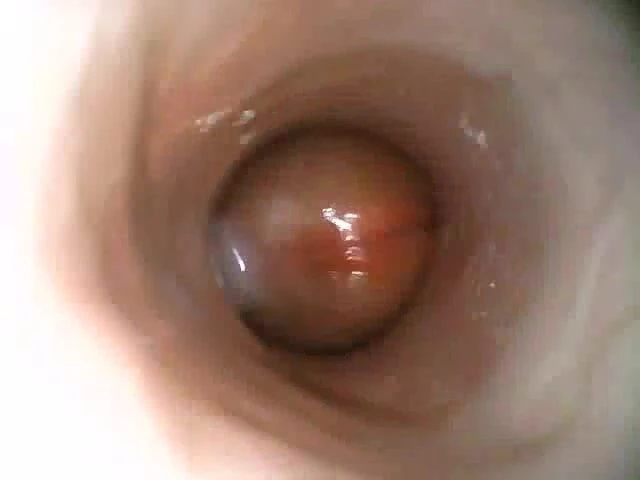 Internal Fleshlight 01