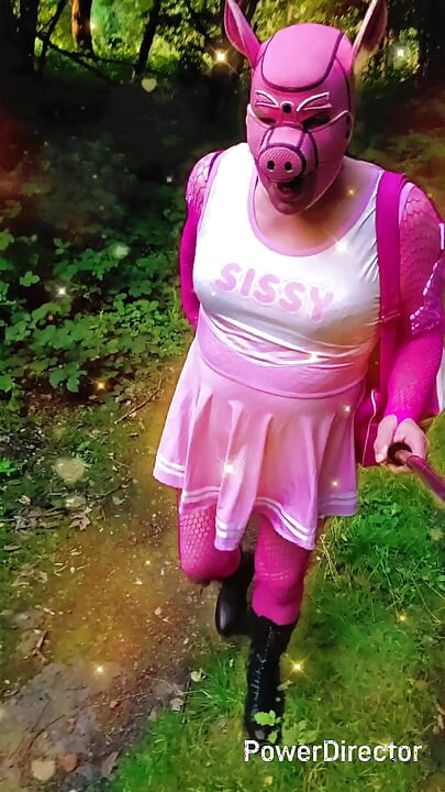 Debela sissy svinja