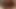 私のコックを汚くしゃぶる