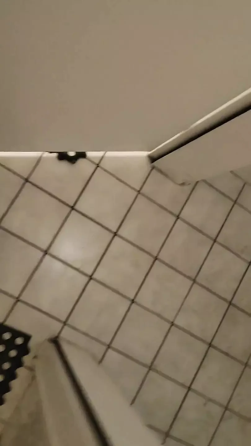 Piss in the Pub