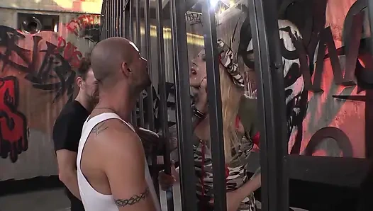 Блондинку Hard Academy Rocco Жестко Долбят