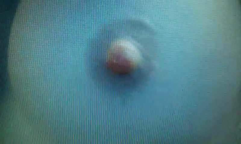 Vid 20171013 235957.mp4