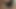 Hot German MILF masturbating and fucked