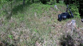 Hogtie en plein air par une chaude journée d'été.