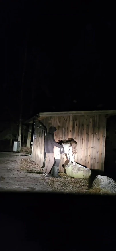Stranger Dogging his wife outdoors