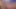 Fake job proposal led to threesome in the gym Premium Edit
