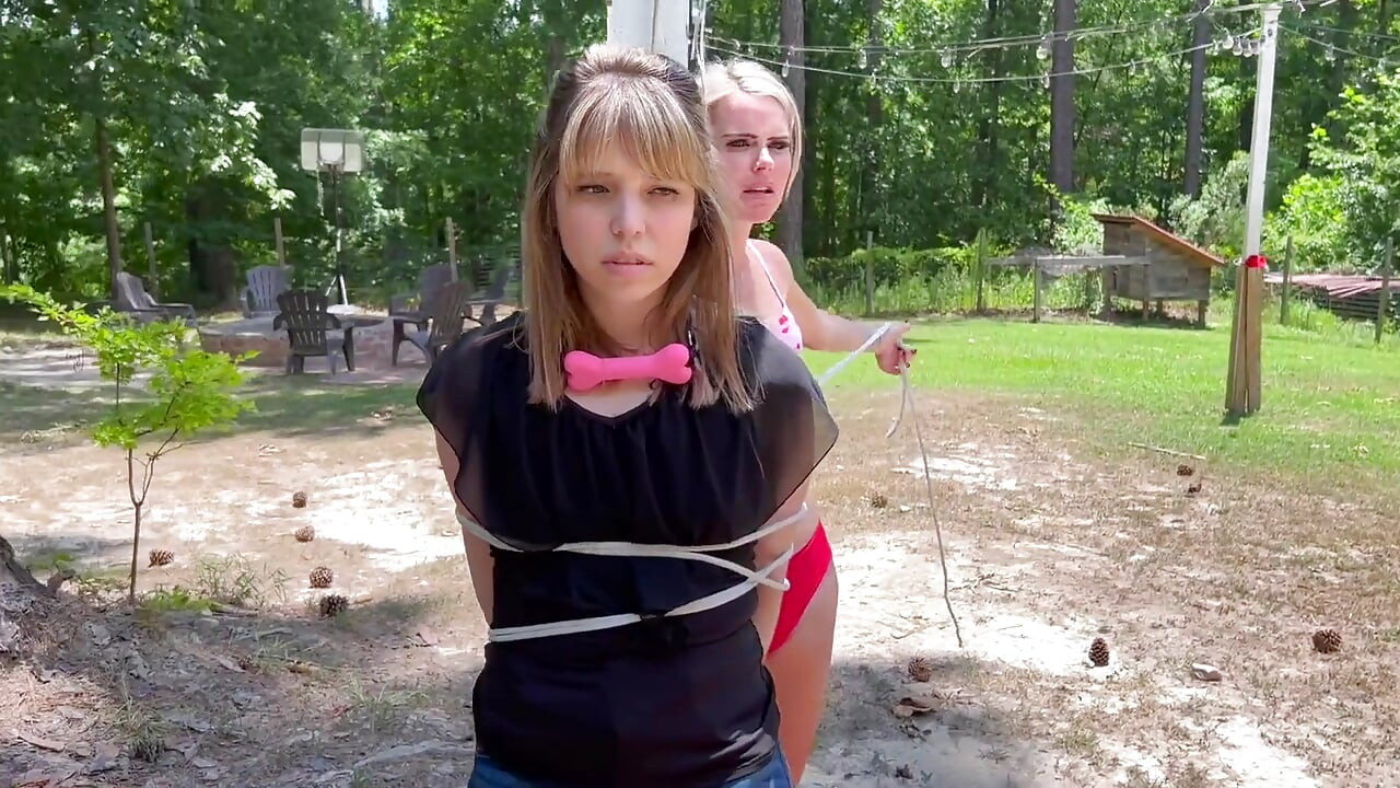 Bitchy stepsisters