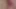 I fat pig swallow my piss and jerk off my mini cock