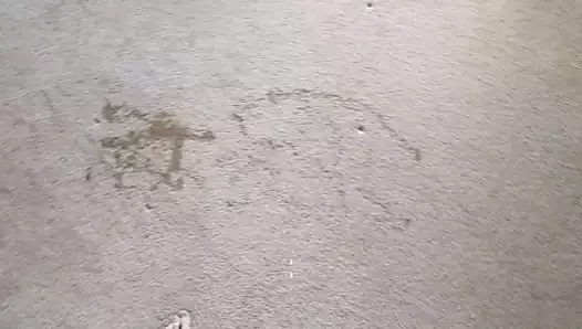 yatak odamda halı işemek