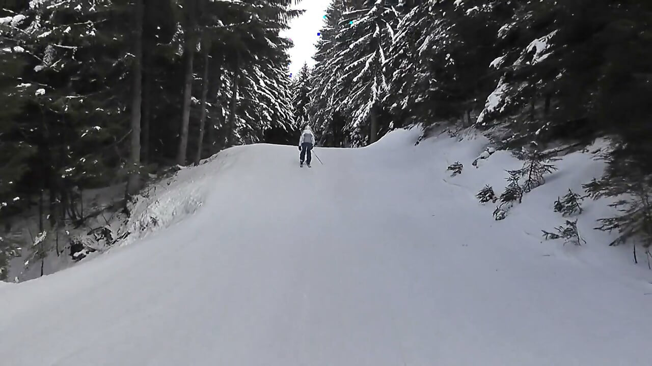 Estudante Aneta Fickskihütte nova