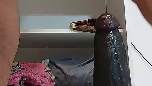 Büyük xxxl dildo ile götümü de sikiyorum