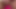 Playing with stepsister&#039;s pussy! Big dildo! Close up