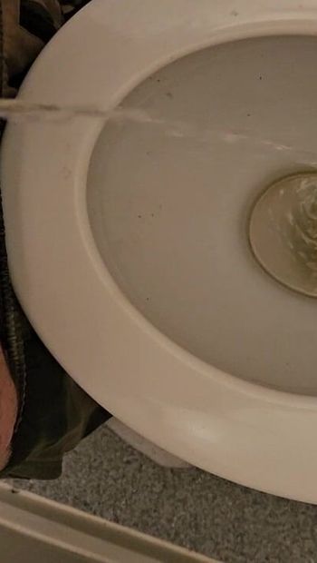 Aku lagi asik kencing di kamar mandi emas sama para pengambil kencing 🙃 di pesta seks