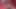 Amcık yalayan amcık parmaklıyor dildo amına giriyor