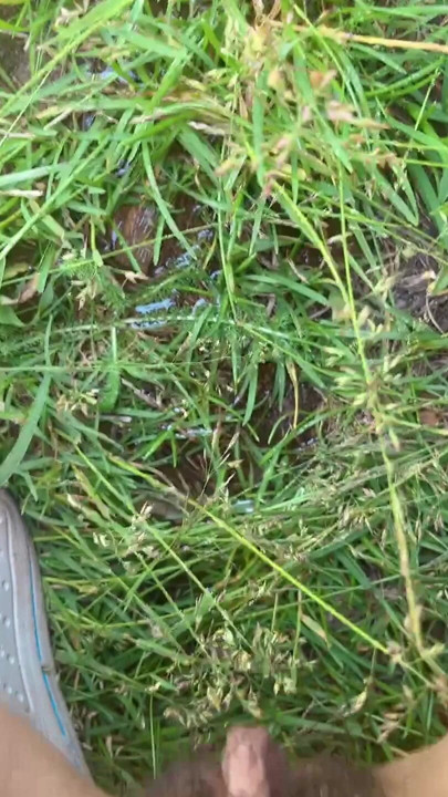 pissing outside near grape tree | Clip 2