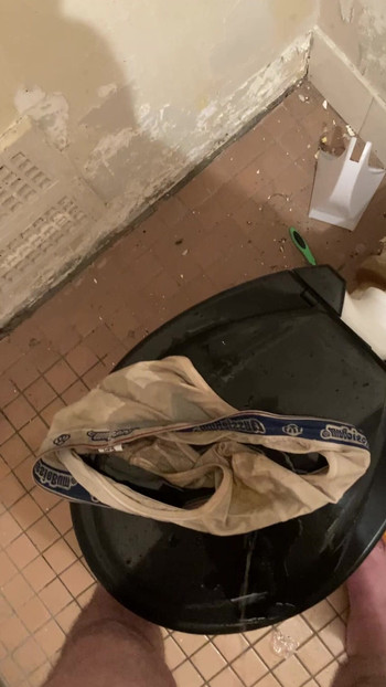 Pissing on underwear and toilet floor