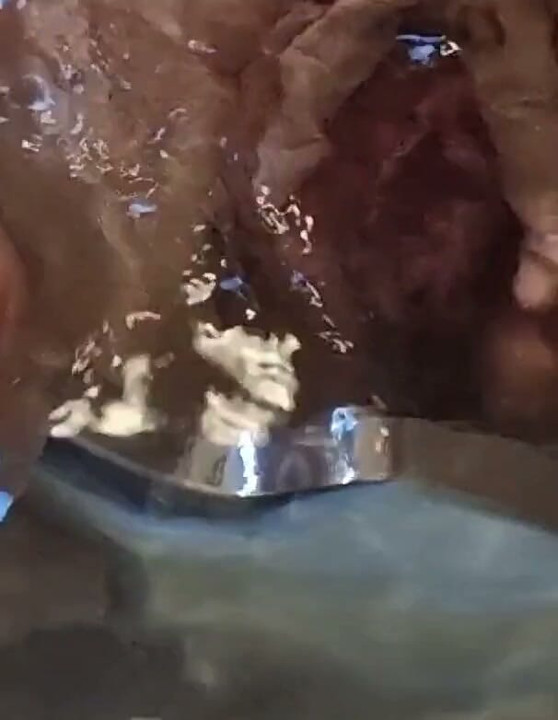 Mature Wife Masturbates in the Bathtub and Then Lets Her Husband Fuck Her From Behind Until He Cums Inside Her