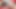 エッチな熟女Adriden Kissは巨根が大好き！ Cambaron.Com