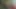 karısı verir baştan çıkarıcı oral seks
