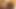 BIR-BBC Raw Orgy