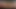 cumshot-extra show